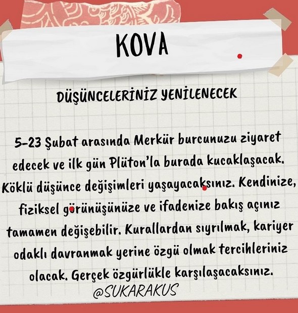 mer kov1 (12).jpg