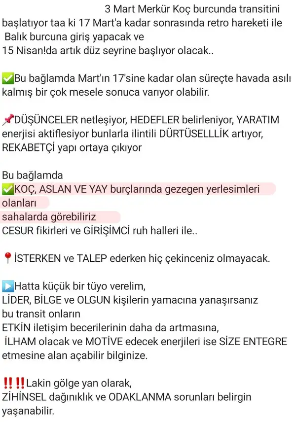 merkoç1 (2).webp