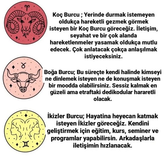 merkür koç 3 (2).jpg