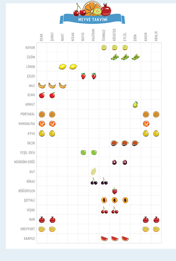 meyve_takvimi.jpg