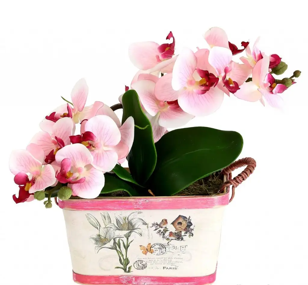 Mobilya_4416188.webp