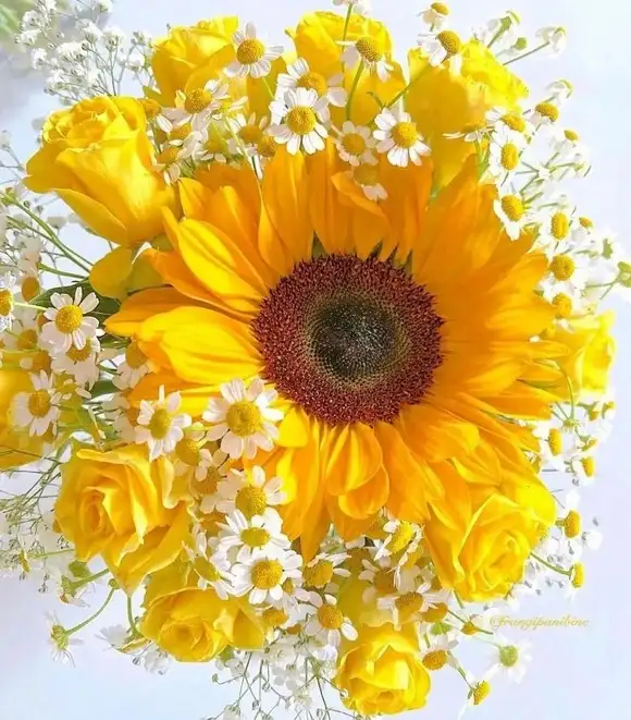 nisan65.webp