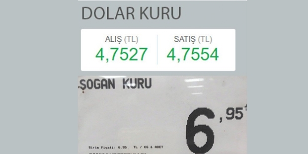 page_34dolar-kuru-475-sogan-kuru-69534_022024709.jpg