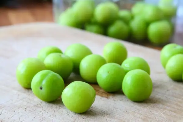 Persian green-plum.webp