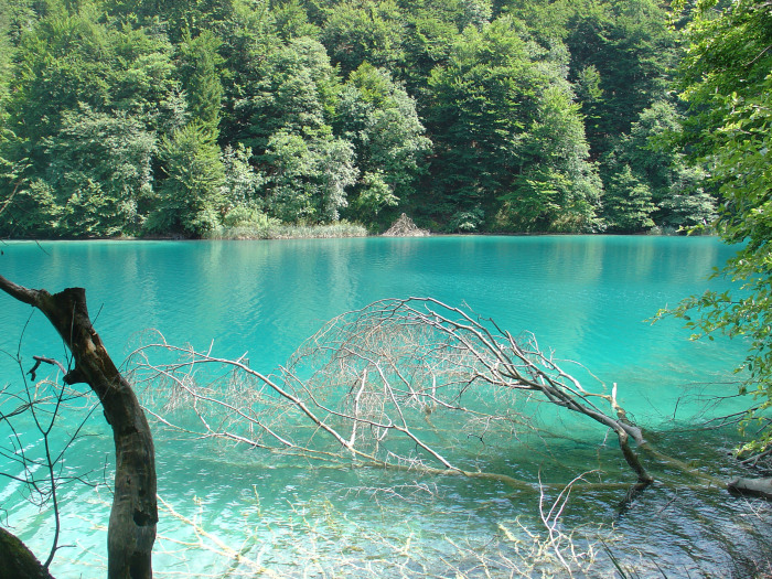 plitvice_lakes_national_park_-_plitvic48dka_jezera_july_2008.jpg