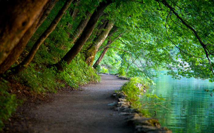 plitvice_lakes_national_park_picture.jpg