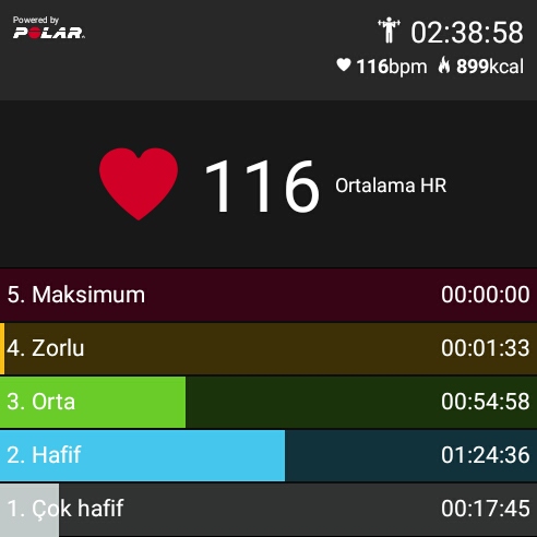 PolarBeat_20180419_113911.jpg