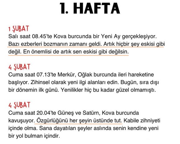 ş1 (2).jpg