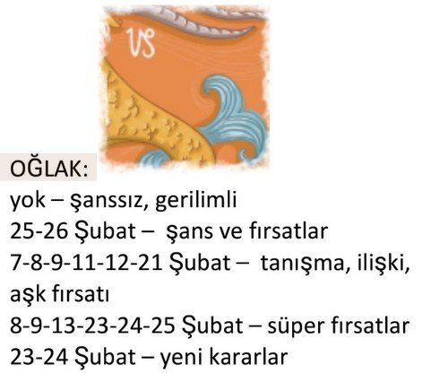 ş12 (11).jpg