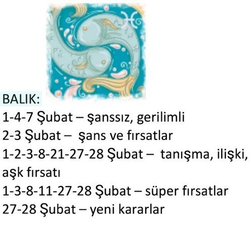 ş12 (13).jpg