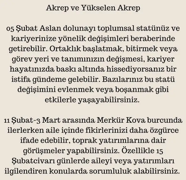 ş13 (16).webp