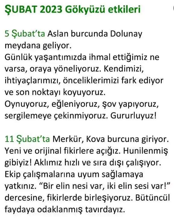 ş15 (2).webp