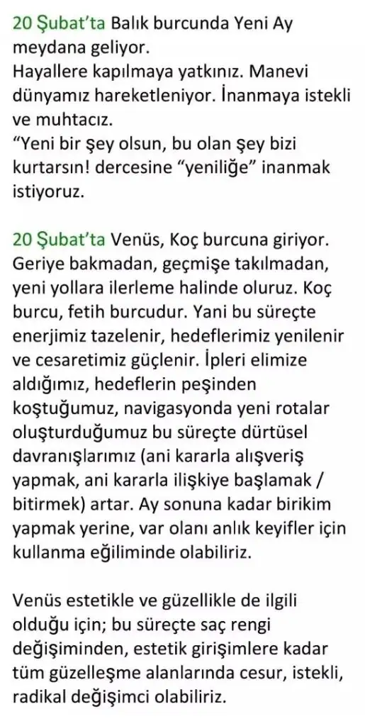 ş15 (4).webp