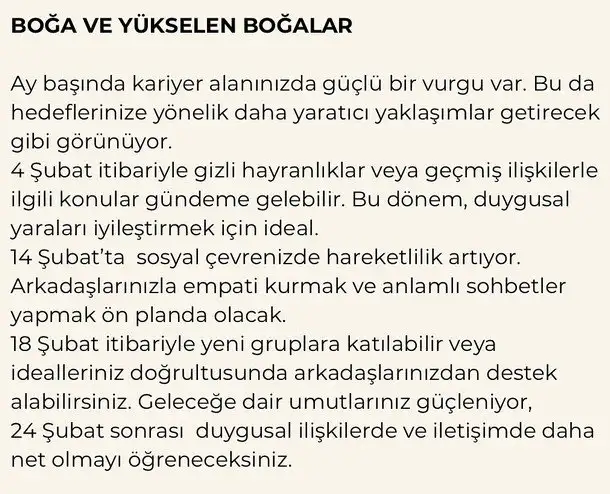 ş19 (2).webp