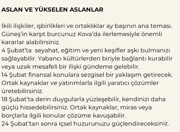 ş19 (5).webp