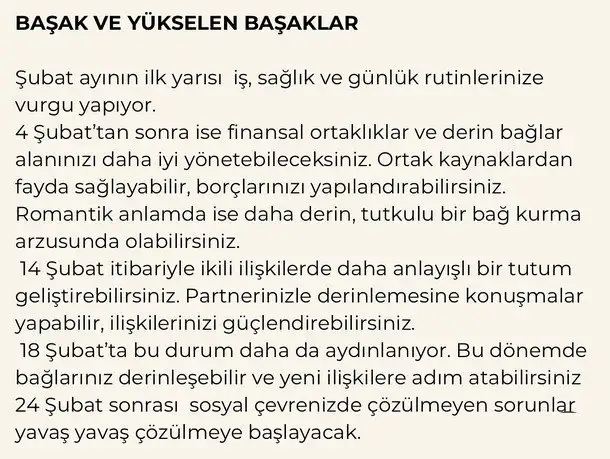 ş19 (6).webp