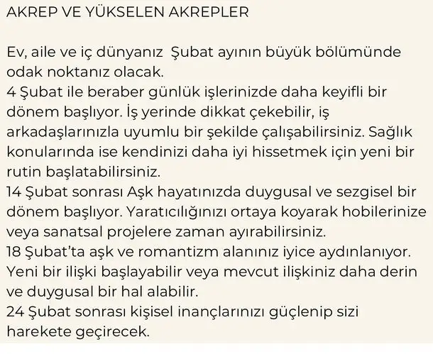 ş19 (8).webp