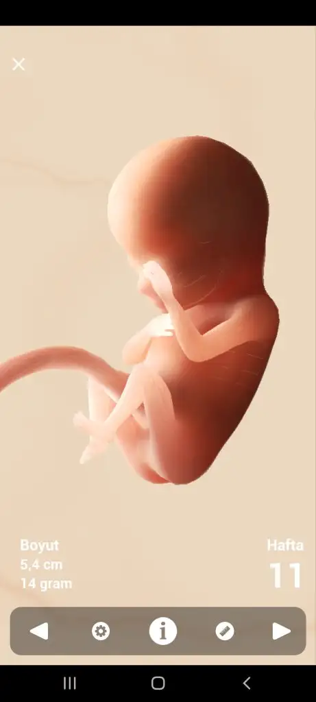 Screenshot_20220805-223954_Pregnancy+.webp