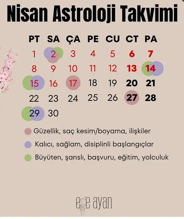 Screenshot_20240401-235927_Instagram.webp