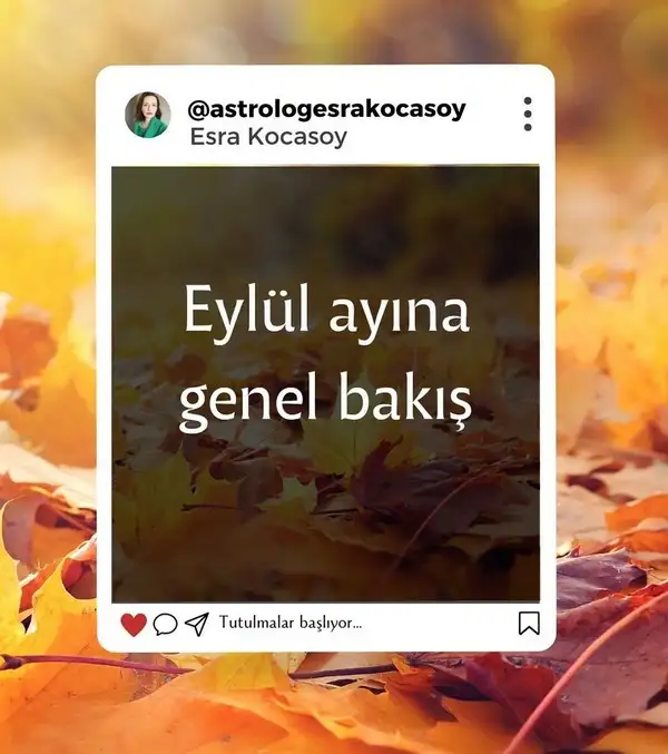 Screenshot_20240827-122012_Instagram.webp