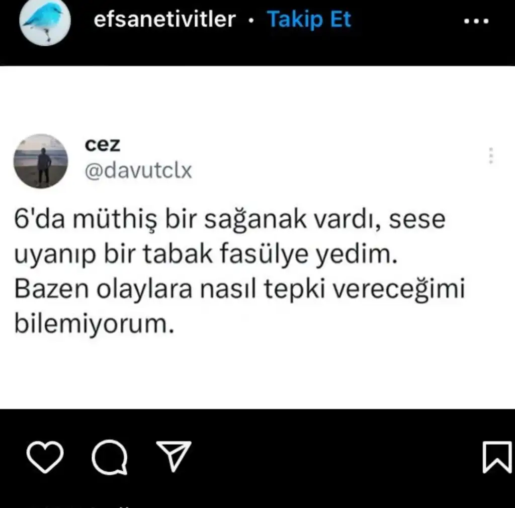 Screenshot_20240925-125652_WhatsApp.webp