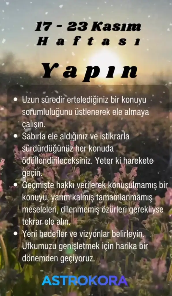 Screenshot_20251116-125958.webp