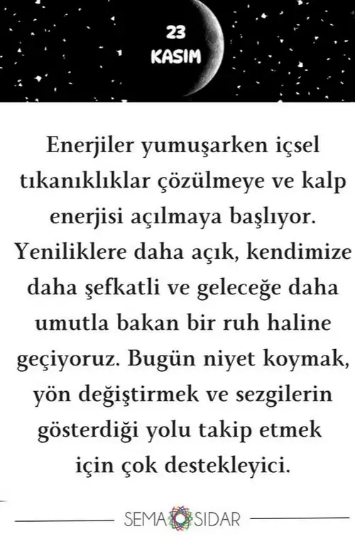 Screenshot_20251116-153355.webp