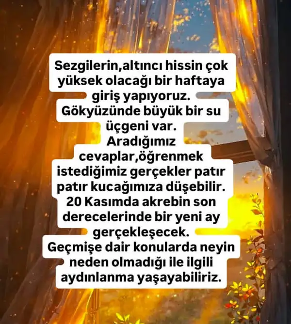 Screenshot_20251116-194611.webp