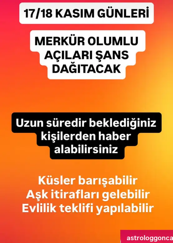 Screenshot_20251116-222954.webp