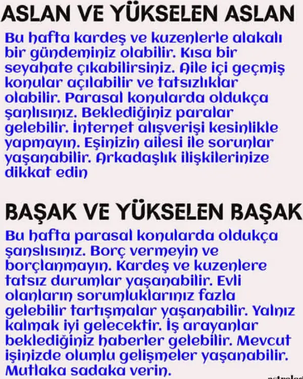 Screenshot_20251116-223206.webp