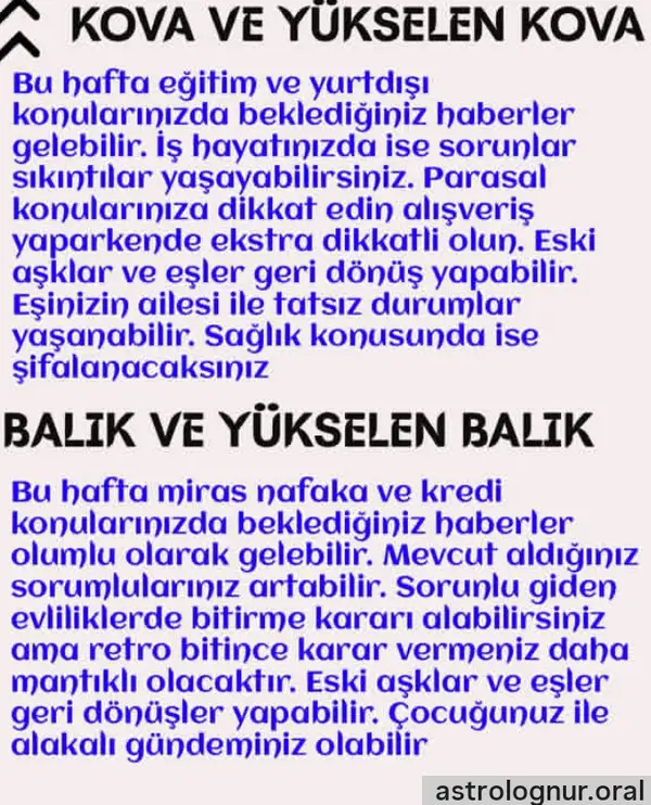 Screenshot_20251116-223213.webp