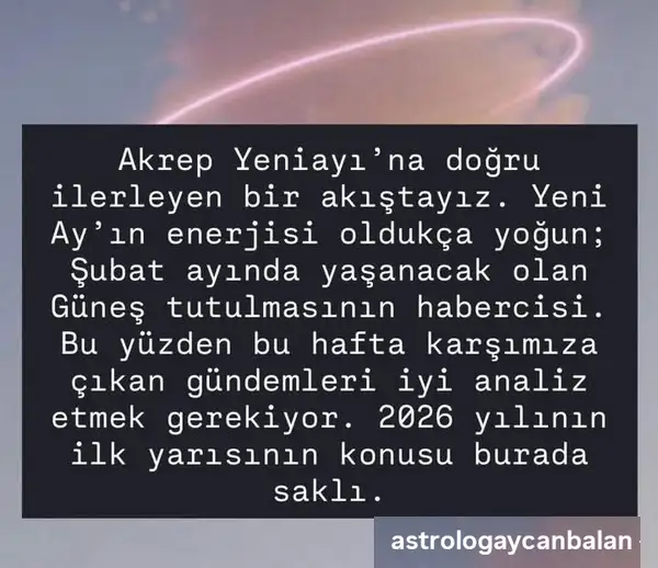 Screenshot_20251117-093009.webp