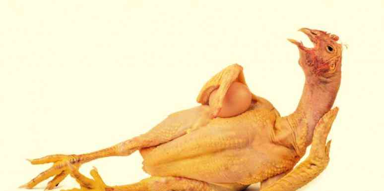 sexy-chicken.jpg