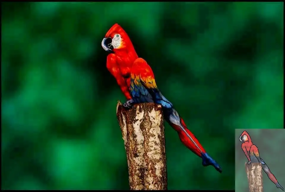 Sexy-painting-of-lady-which-appears-to-be-Parrot.webp