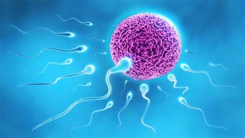 sperm-donasyonu1-319x7ab3d1ldy3qgvkdlvk.jpg