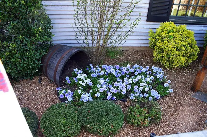 spilled-flowers-garden-ideas-13__880.webp