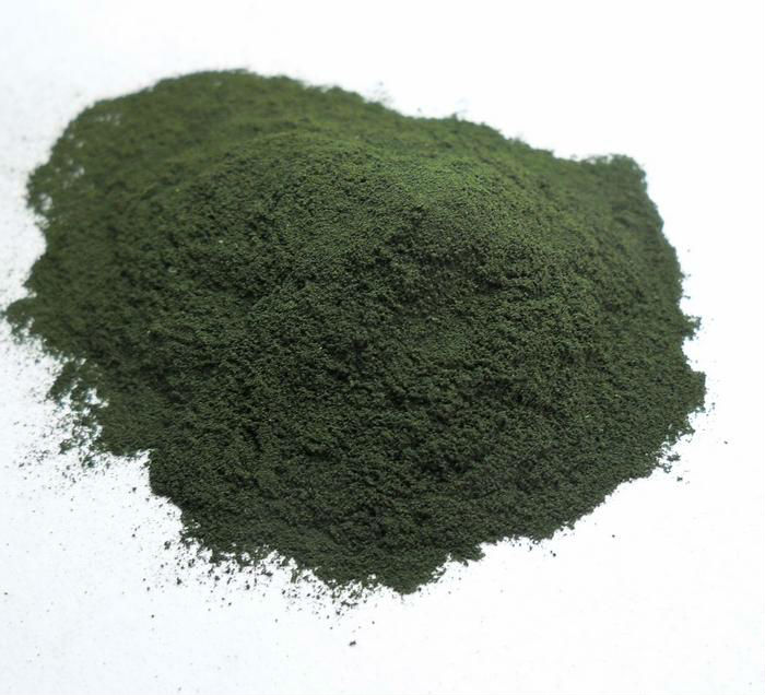 spirulina_algae.jpg