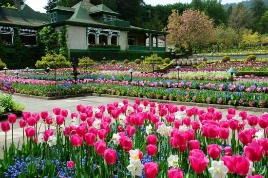 spring-full-italian-garden.jpg