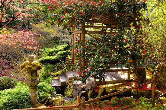 spring-full-japanese-garden.jpg