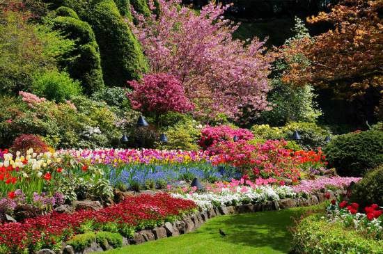 spring-full-sunken-garden-bloom.jpg