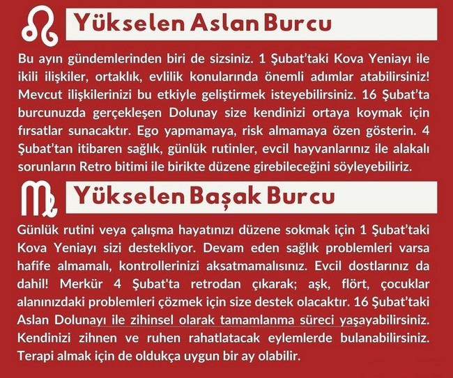 şş (5).jpg