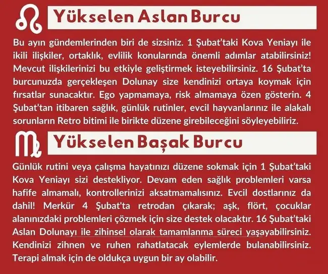 şş (5).webp