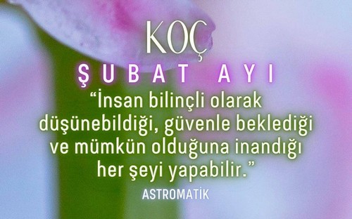 şubat 1 (1).jpg