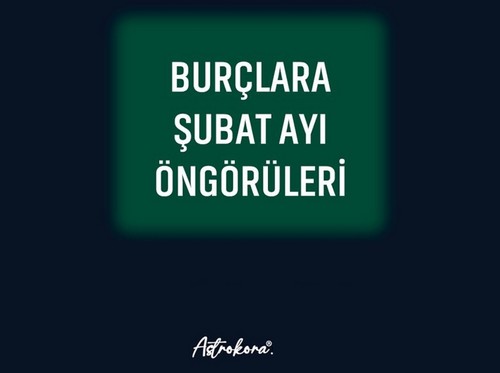 şubat 3 (1).jpg