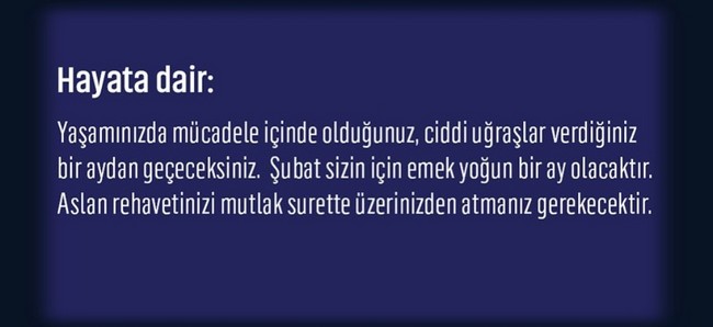 şubat 3 (11).jpg