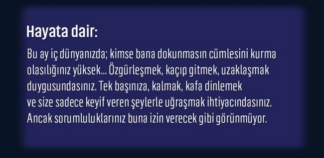 şubat 3 (13).jpg