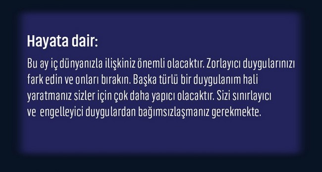 şubat 3 (17).jpg