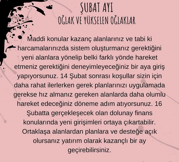 şubat 9 (10).jpg