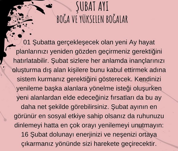 şubat 9 (2).jpg