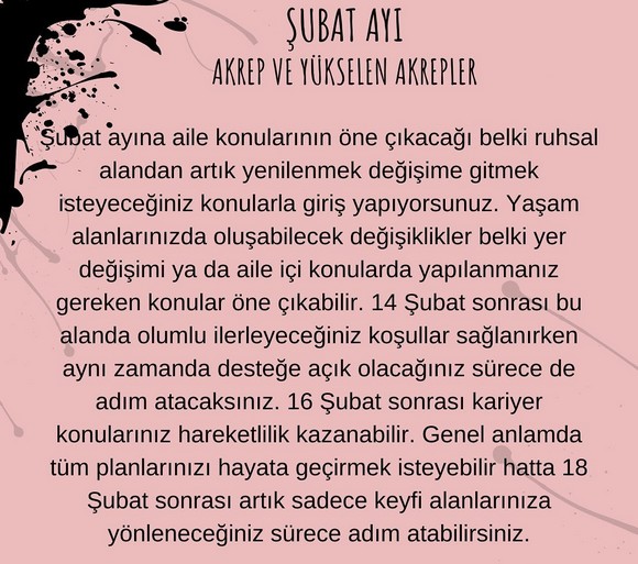 şubat 9 (8).jpg